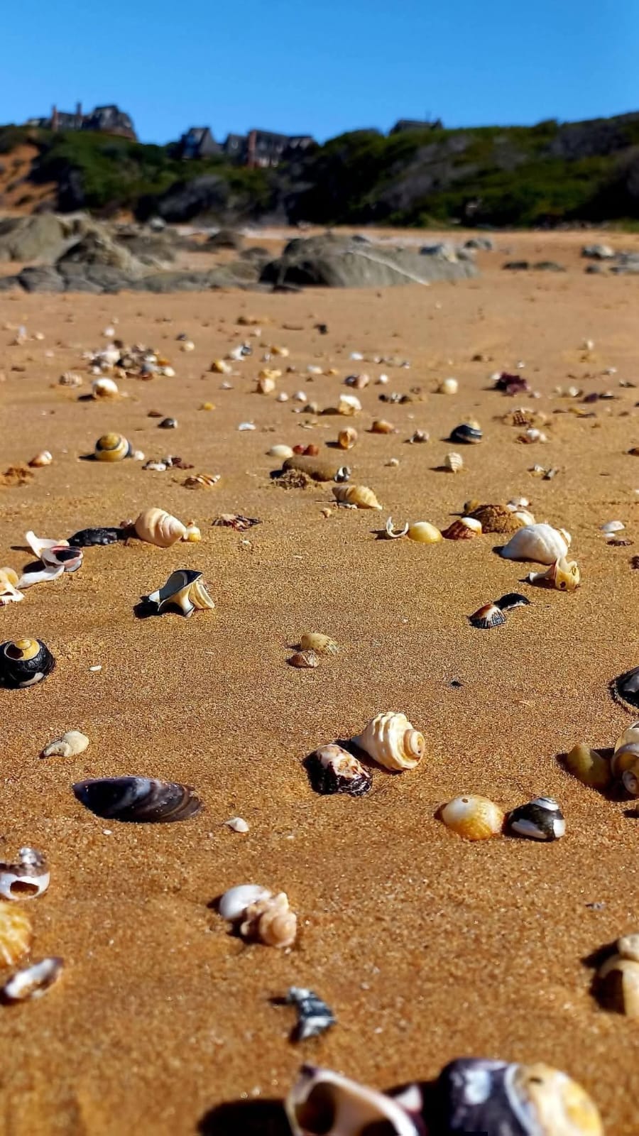 0 Bedroom Property for Sale in Stilbaai Oos Western Cape